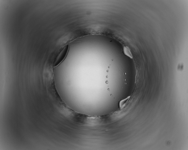 X0000103150240200808221338