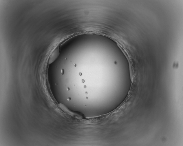 X0000103150241200808221337