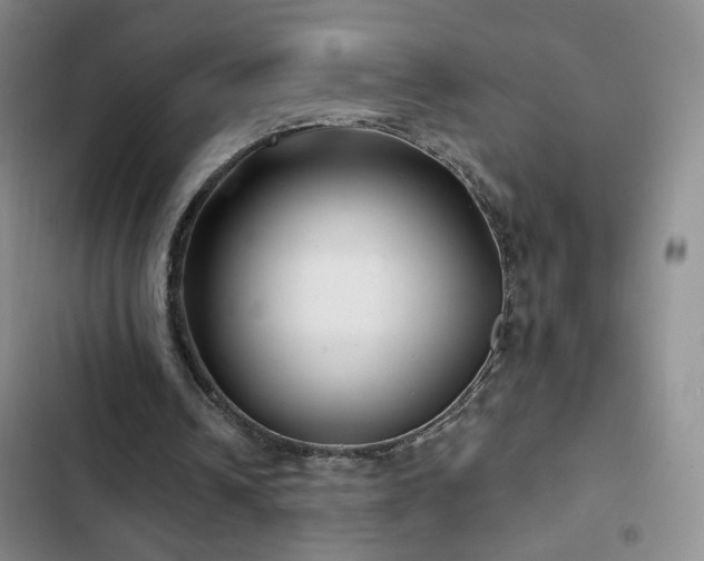 X0000103150242200808221337