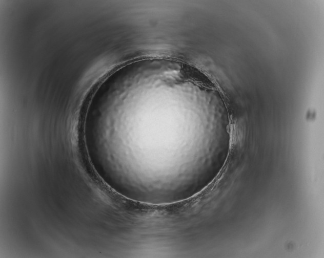 X0000103150243200808221337