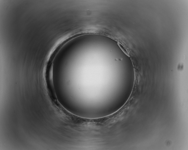 X0000103150244200808221337