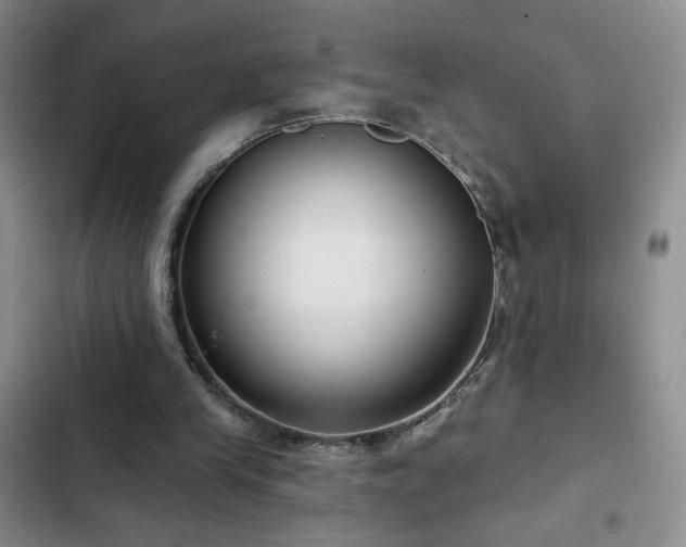 X0000103150245200808221337