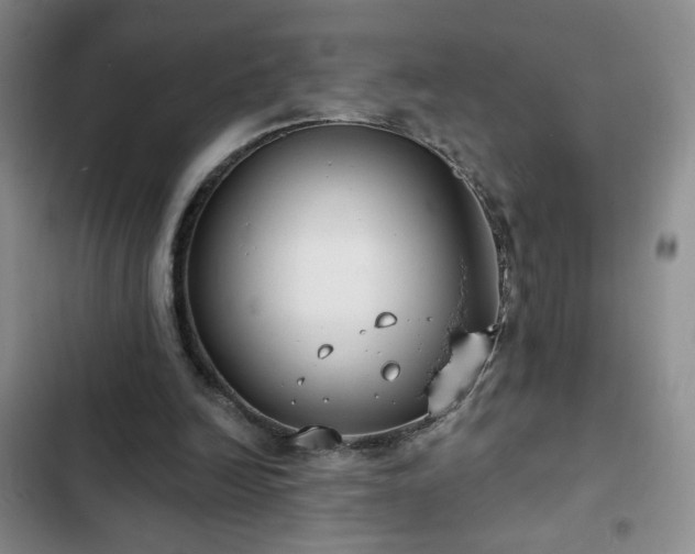 X0000103150246200808221337