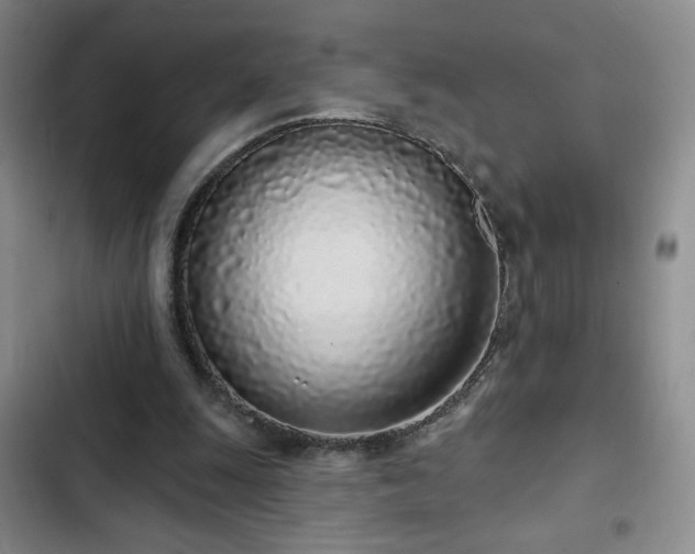 X0000103150247200808221338