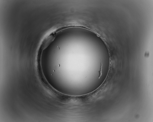 X0000103150248200808221338