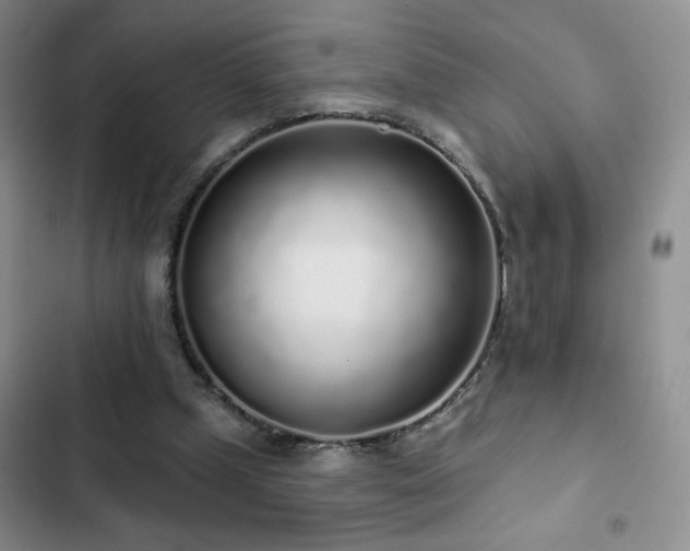 X0000103150249200808221338