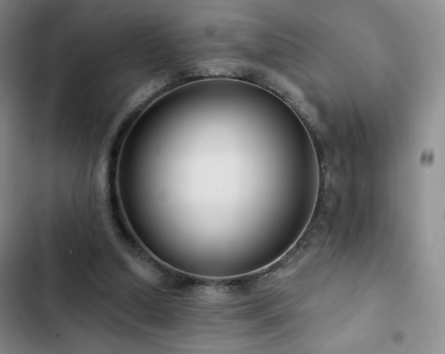 X0000103150250200808221338