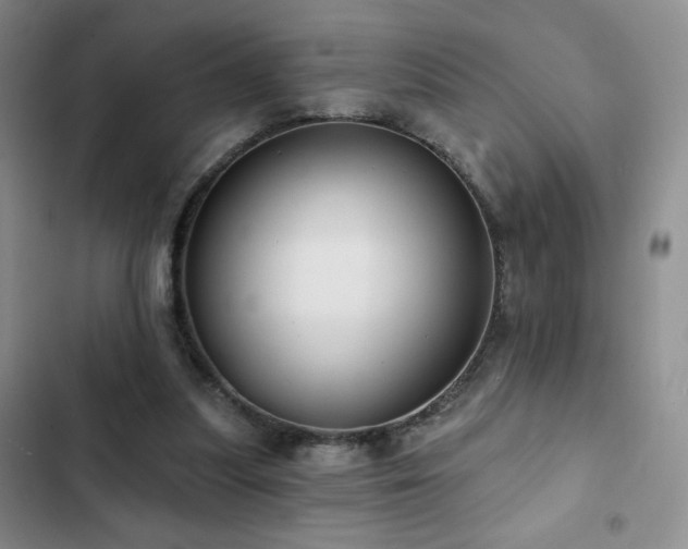 X0000103150251200808221338