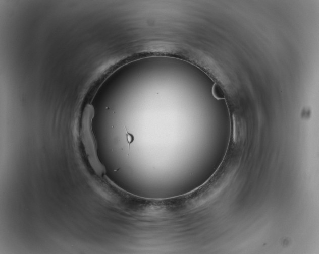 X0000103150252200808221338