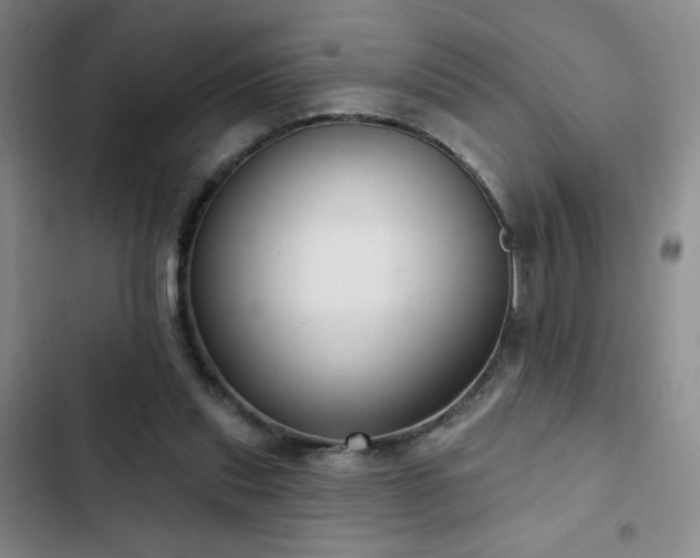 X0000103150253200808221338