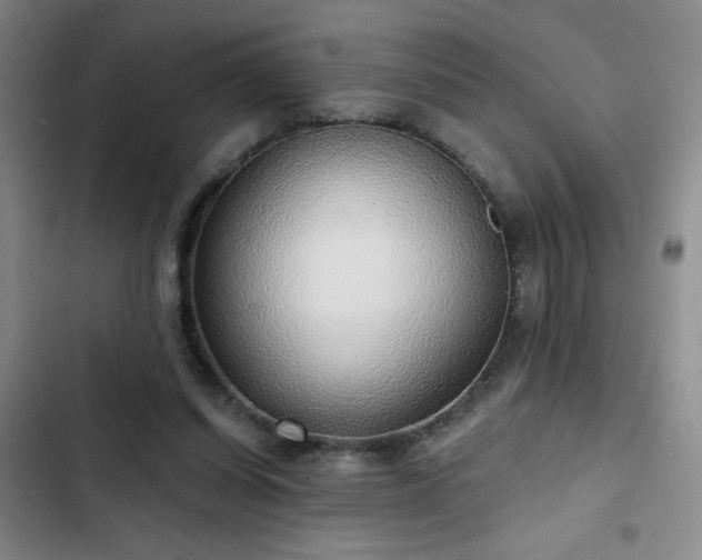 X0000103150254200808221338