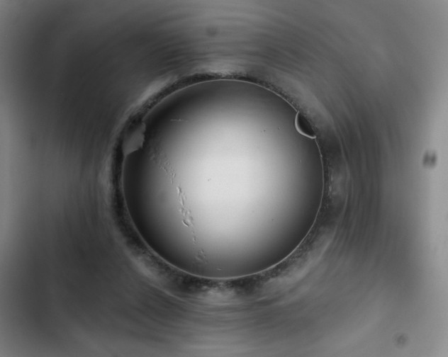 X0000103150256200808221338