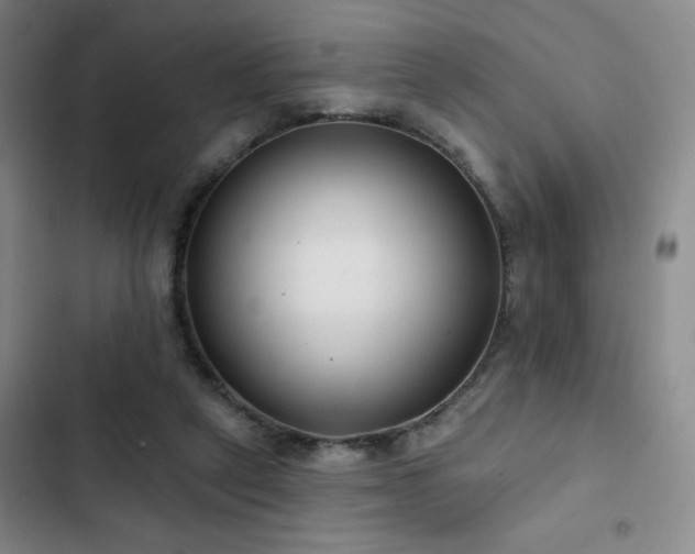 X0000103150257200808221338