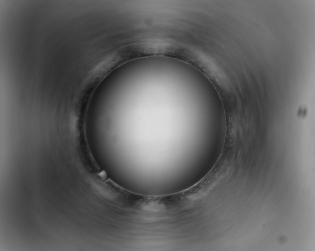 X0000103150258200808221338