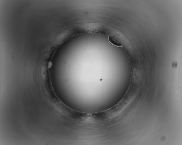 X0000103150259200808221338