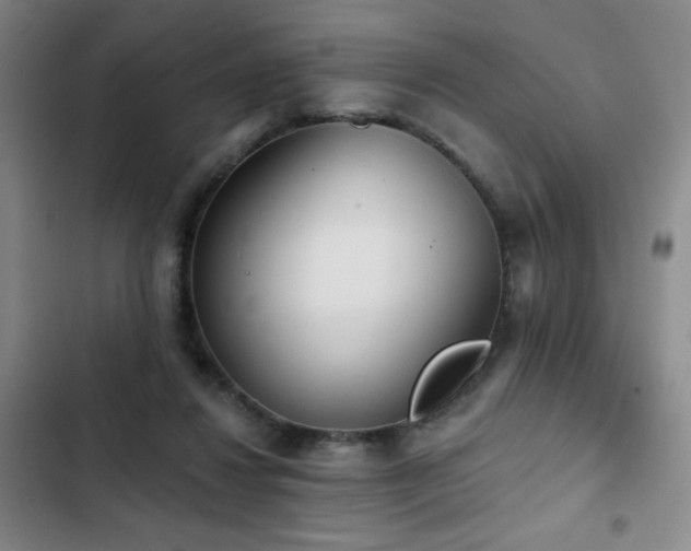 X0000103150260200808221338