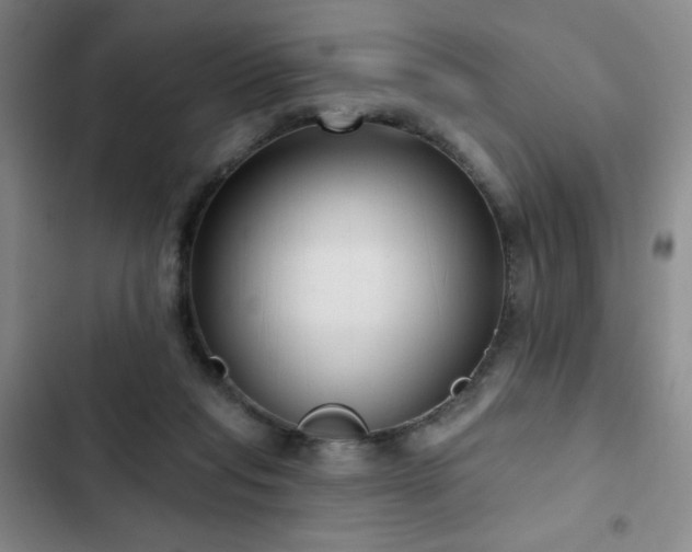 X0000103150261200808221338