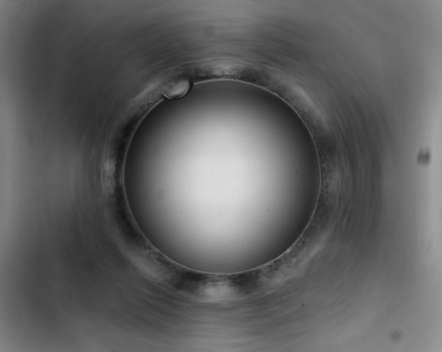 X0000103150262200808221338