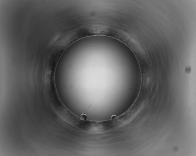 X0000103150263200808221338