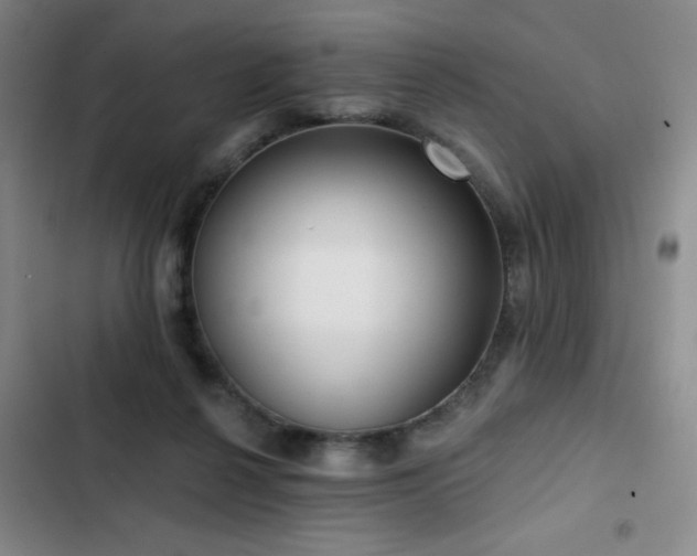 X0000103150264200808221338