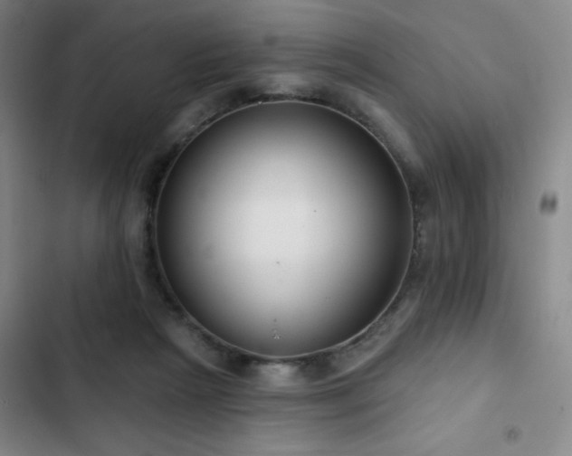 X0000103150265200808221338