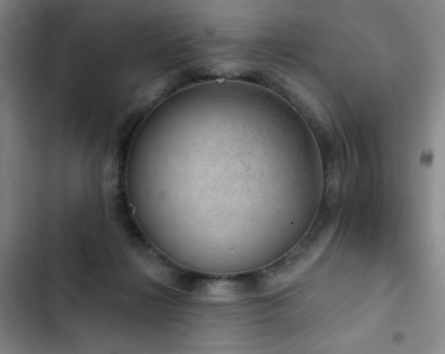 X0000103150268200808221338