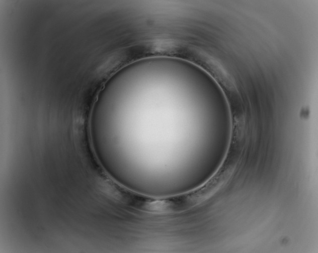 X0000103150269200808221338