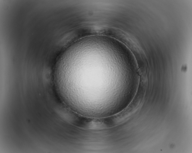 X0000103150270200808221338