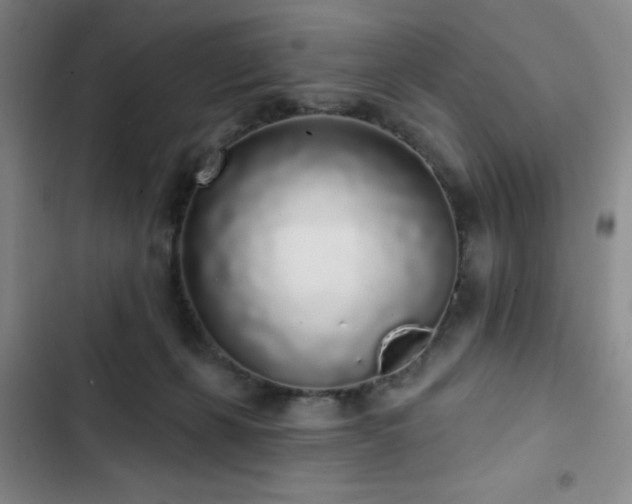 X0000103150271200808221338