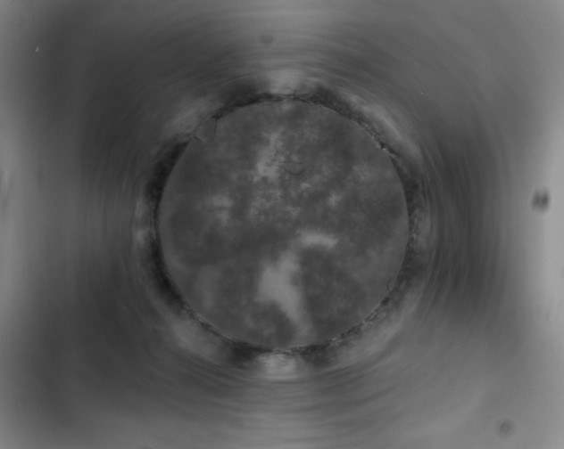 X0000103150272200808221338