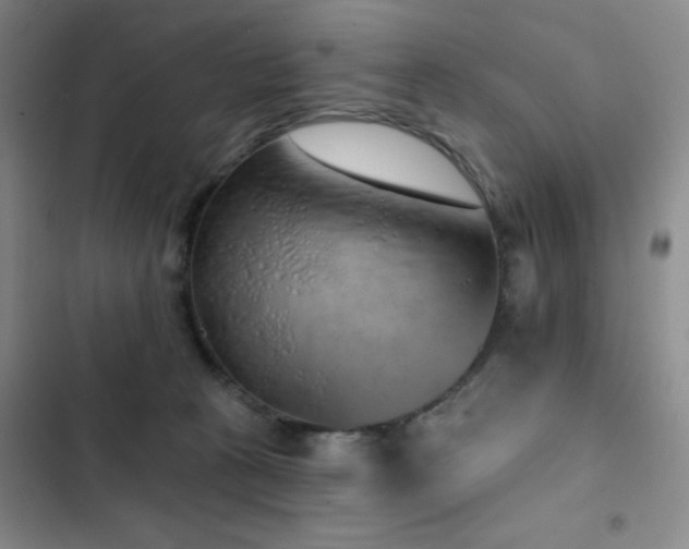 X0000103150273200808221338