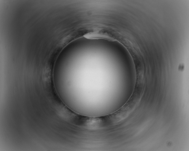 X0000103150274200808221338