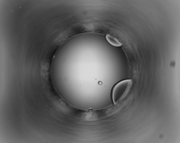 X0000103150275200808221338