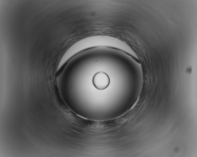 X0000103150276200808221338