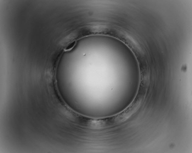 X0000103150277200808221338