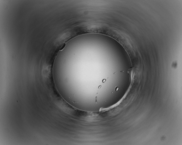 X0000103150278200808221338