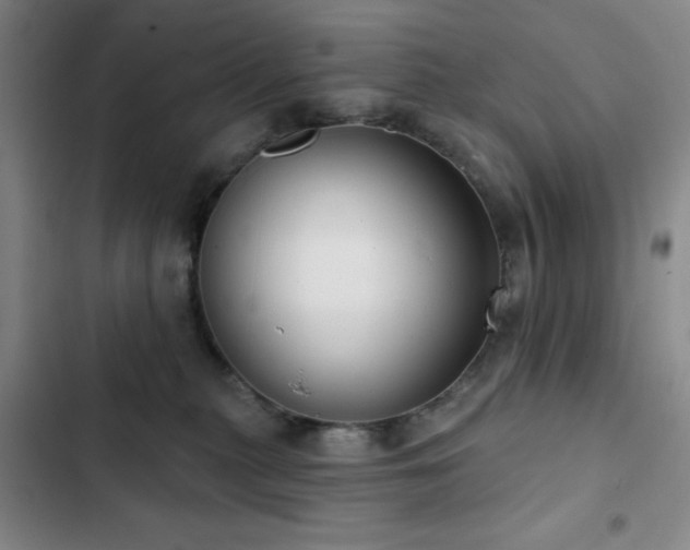 X0000103150279200808221338