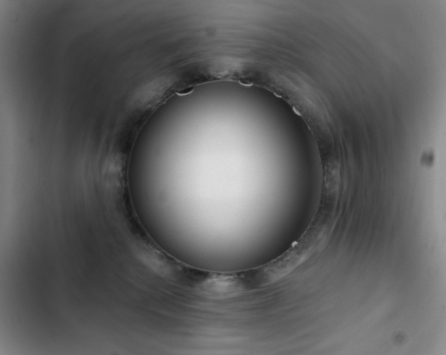 X0000103150280200808221338