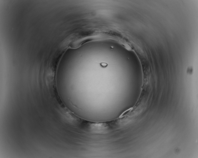 X0000103150281200808221338