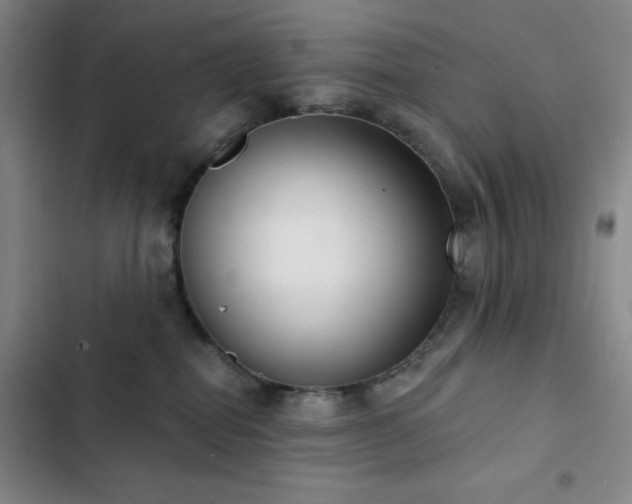 X0000103150282200808221338