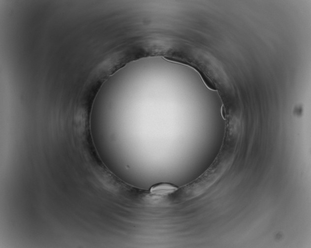 X0000103150283200808221338