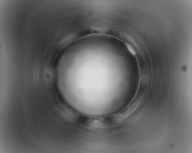 X0000103150285200808221338