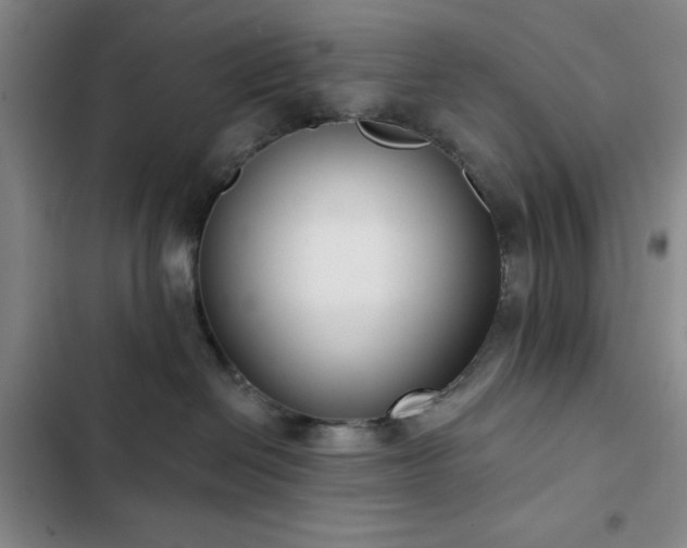 X0000103150286200808221338