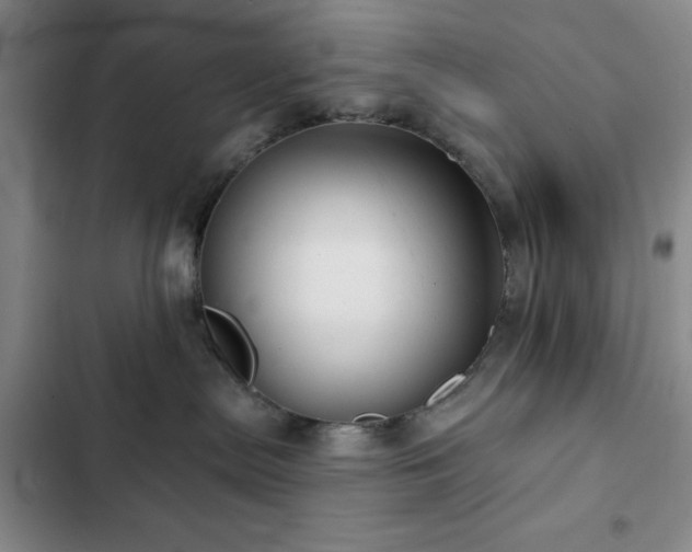 X0000103150287200808221338