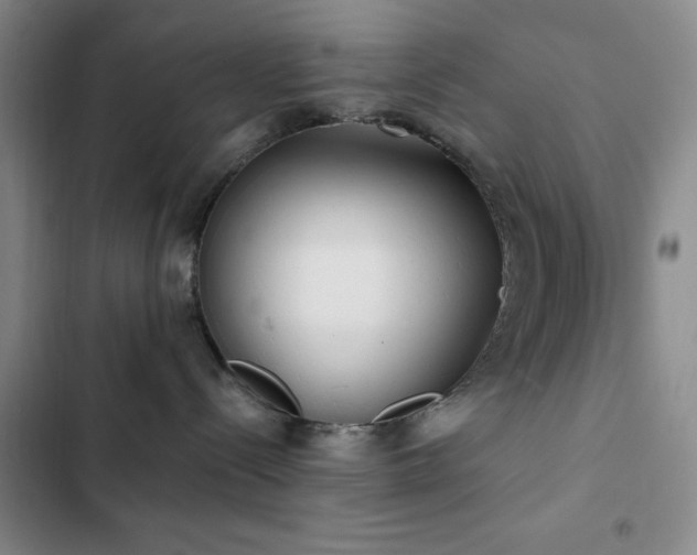 X0000103150288200808221338