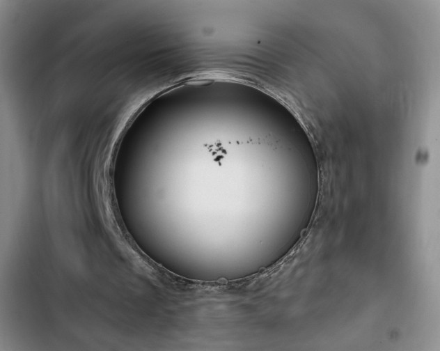 X0000103150289200808221337