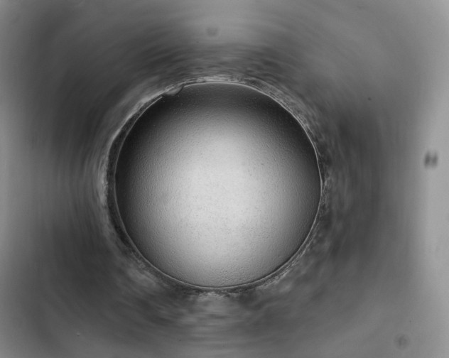 X0000103150290200808221337