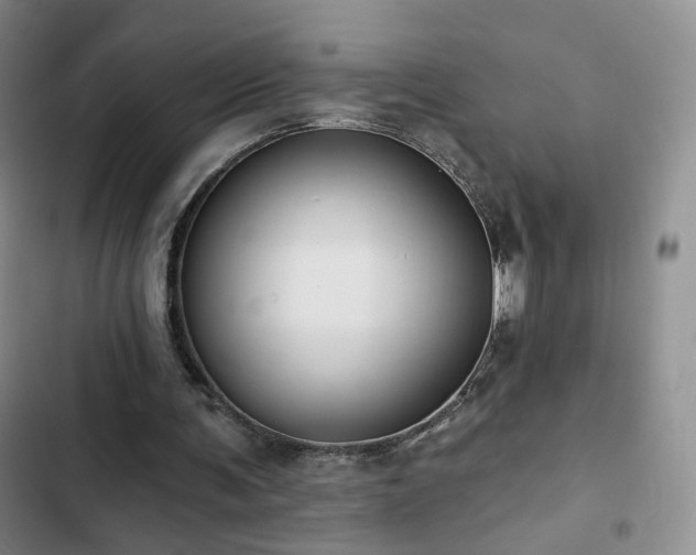 X0000103150291200808221337