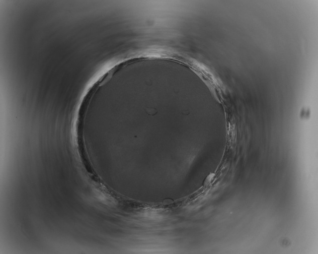 X0000103150292200808221337