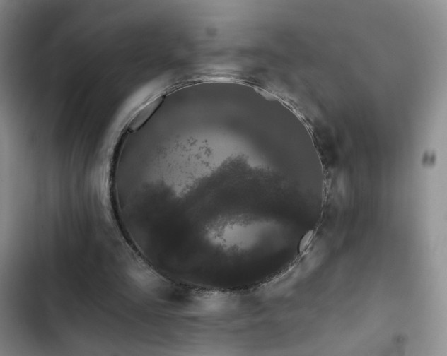 X0000103150293200808221337